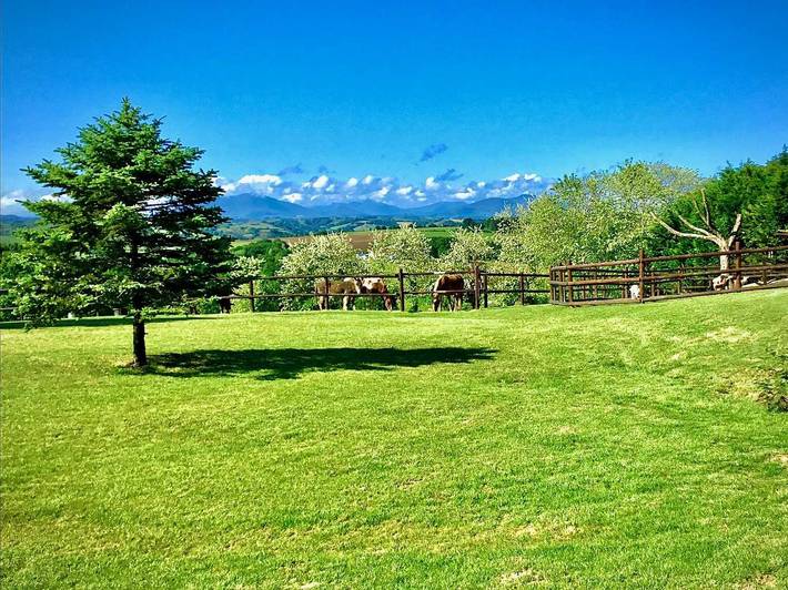 Gîte pour 3 personnes, avec jardin et terrasse à Bardos - 3