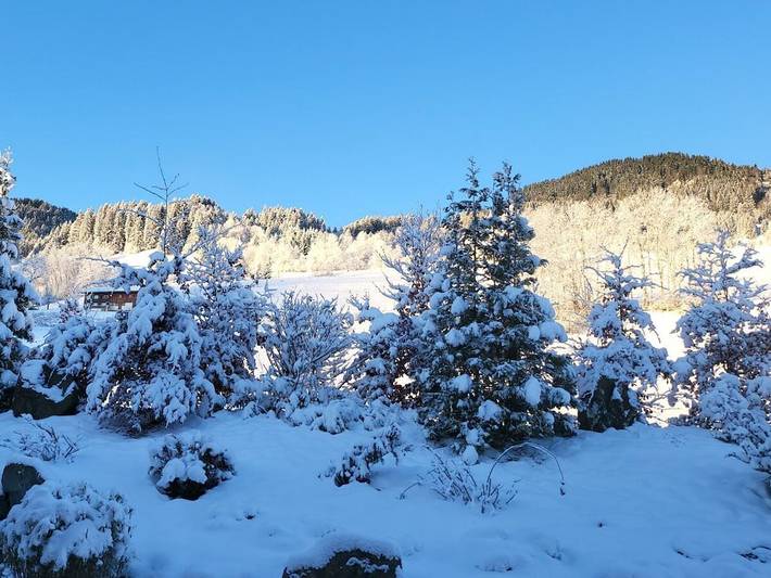 Chalet für 4 Personen, mit Whirlpool und Garten sowie Pool und Sauna, mit Haustier in Ofterschwang - 4