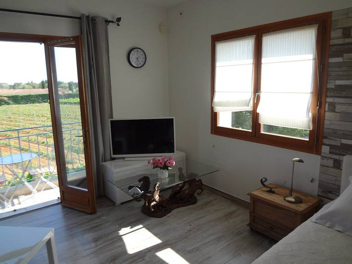 Gîte pour 6 personnes, avec jardin et terrasse, animaux acceptés à La Londe-les-Maures - 4