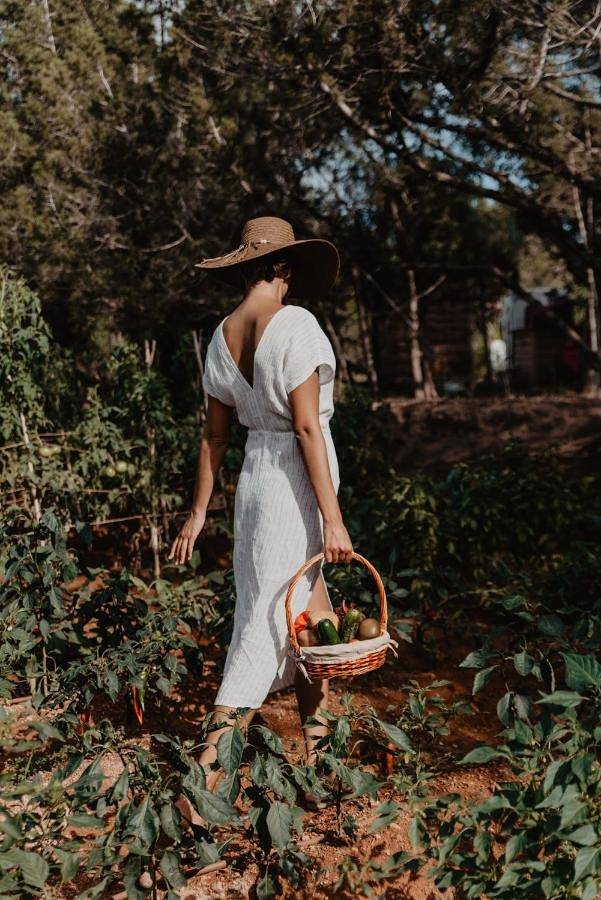 Can Vistabella Boutique Resort in Bella Vista (Ibiza), Sant Antoni de Portmany