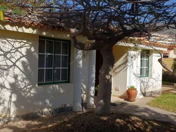 Bungalow voor 4 Personen in Santiago del Teide, Zuid Tenerife, Afbeelding 1