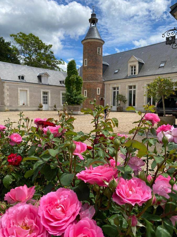 Gîte pour 2 personnes, avec vue et jardin ainsi que terrasse et piscine à Lassay-sur-Croisne - 4