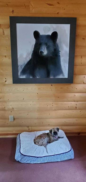 Buffalo Lake Cabin I Private Beach l Detroit Lakes l Pet Friendly in Becker County