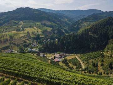 Ferienwohnung für 4 Personen in Oberkirch, Mittlerer Schwarzwald, Bild 1