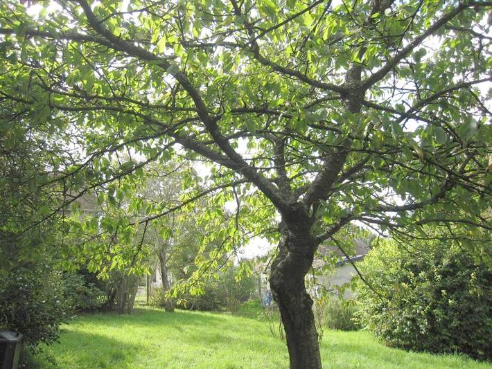 Location de vacances pour 15 personnes, avec Terrasse ainsi que Jardin et Vue à Cairon