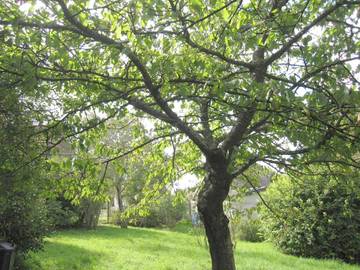 Location de vacances pour 15 personnes, avec terrasse ainsi que vue et jardin, animaux acceptés à Cairon