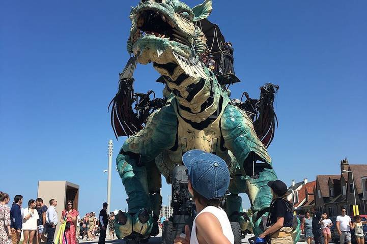 Location de vacances pour 4 personnes, avec jardin et terrasse dans Landrethun-lès-Ardres