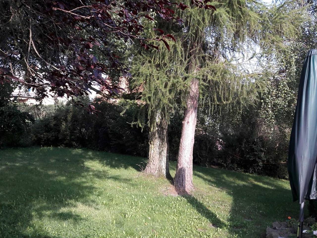 Bannemin Dorfstraße 4 Ferienhaus - Ferienhaus Bannemin in Mölschow, Usedomer Norden