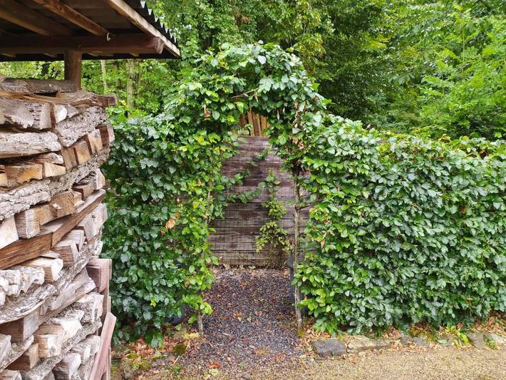 Location de vacances pour 8 personnes, avec jardin et vue, adapté aux familles à Beauraing - 3