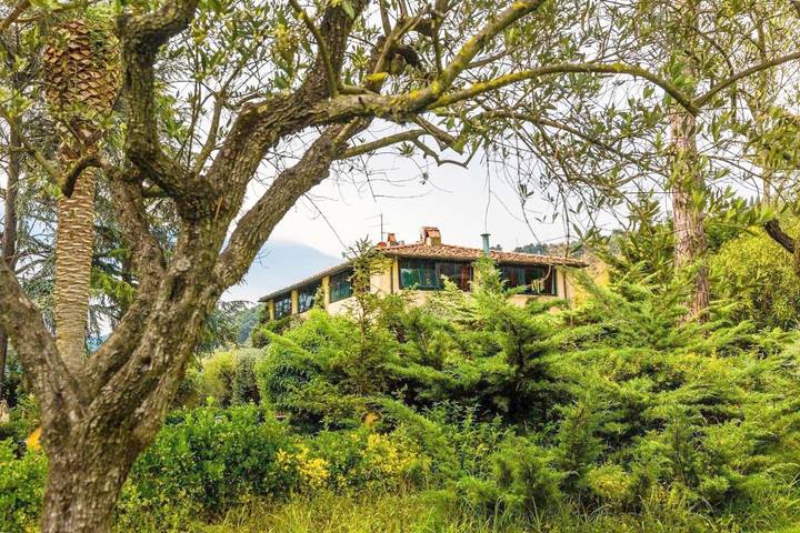 Chambre d’hôte pour 2 personnes, avec jardin ainsi que piscine et terrasse, animaux acceptés à Massarosa - 3