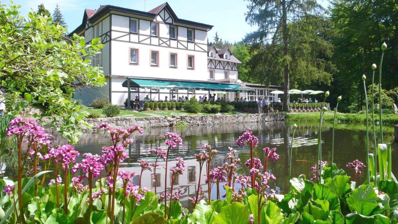 Double Room in Marienbad, Karlsbad und Umgebung