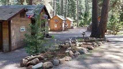 Camping for 4 Guests in Northern California, California, Picture 2