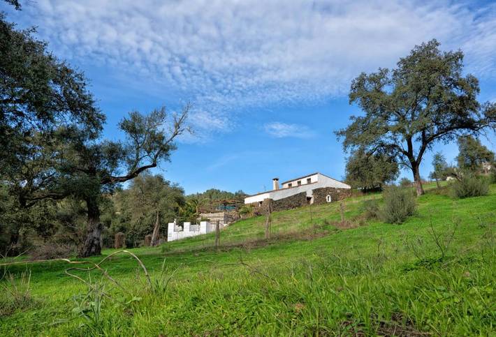 Casa rural para 8 personas, con Balcón y Terraza además de Jardín y Piscina en Santa Ana la Real - 4