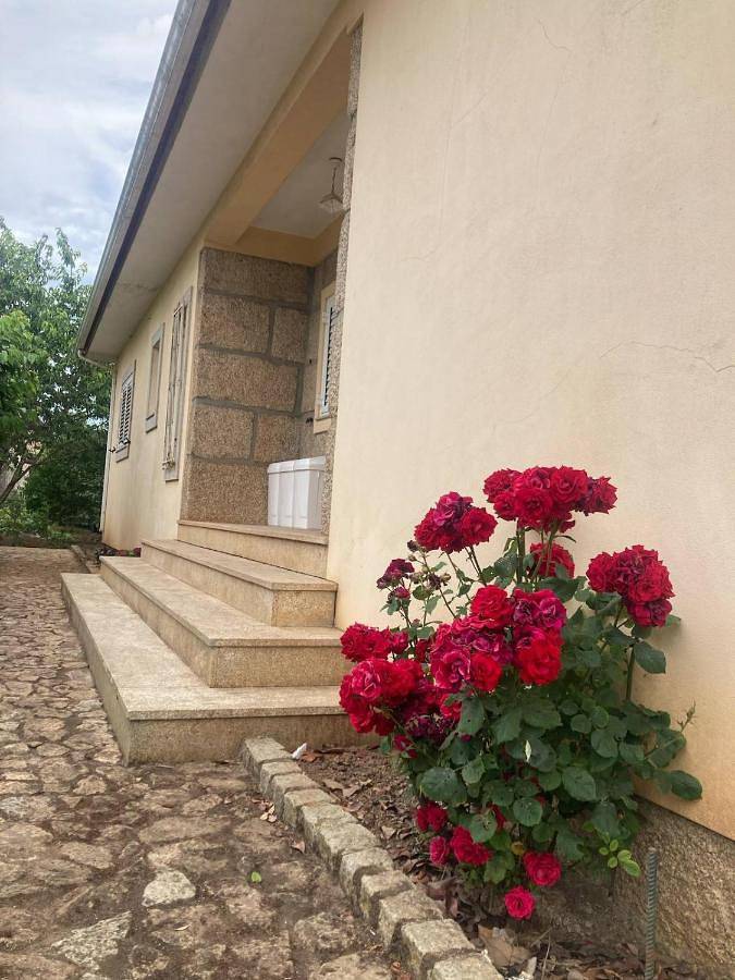 Location de vacances pour 9 personnes, avec terrasse, animaux acceptés dans Sabrosa - 4