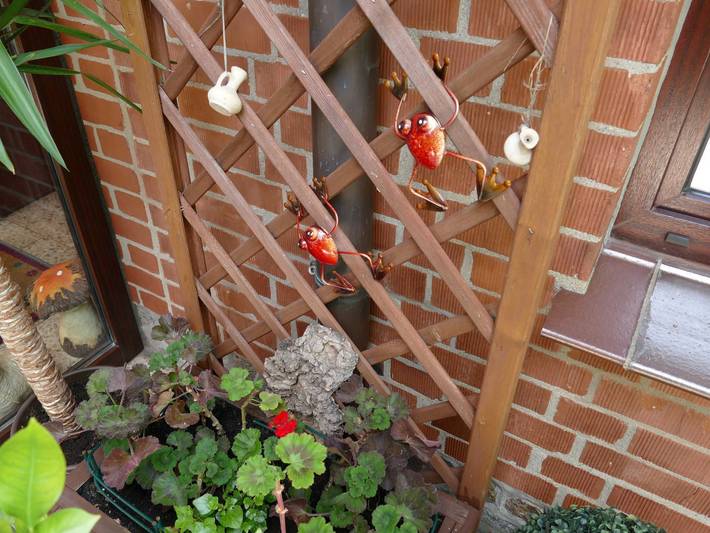 Ferienwohnung für 2 Personen, mit Garten in Waren (Müritz) - 3