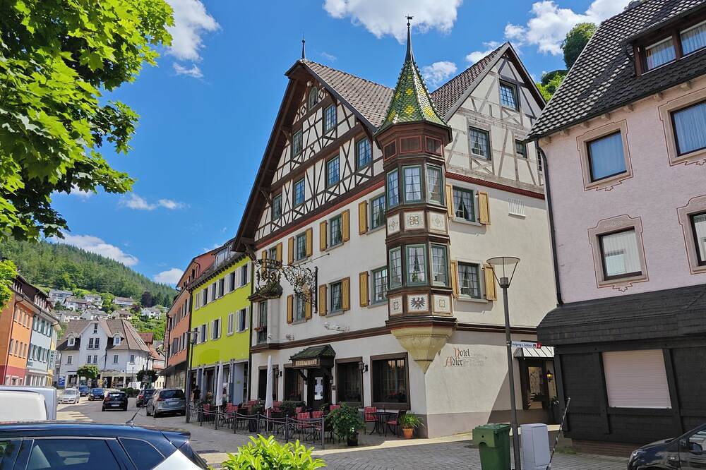 Ganze Wohnung, Schwarzwaldraum Schlossblick in Hornberg, Mittlerer Schwarzwald
