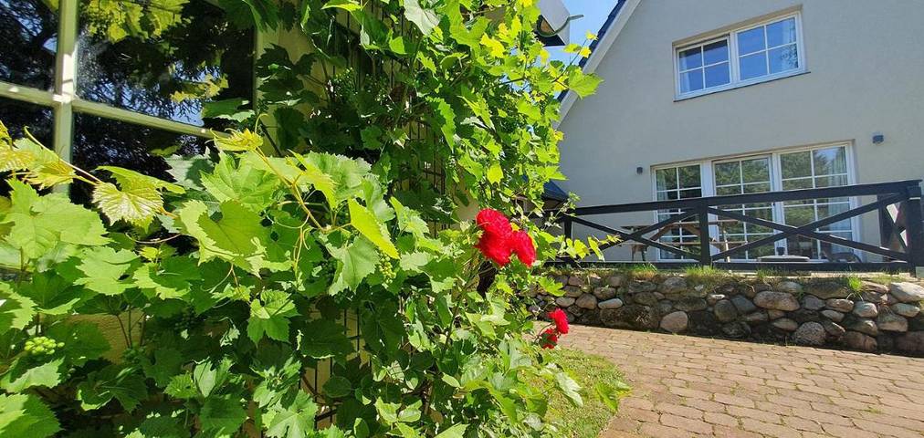 Ferienhaus für 4 Personen, mit Ausblick und Garten, mit Haustier in Hamburg Umland - 3