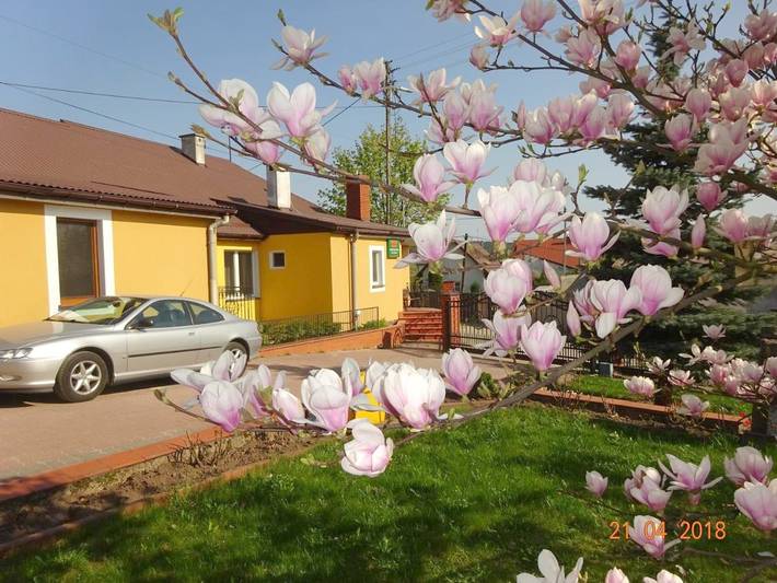 Zakwaterowanie u rodziny goszczącej dla 3 osób, z Balkon i Taras oraz Ogród i Widok w Chęciny
