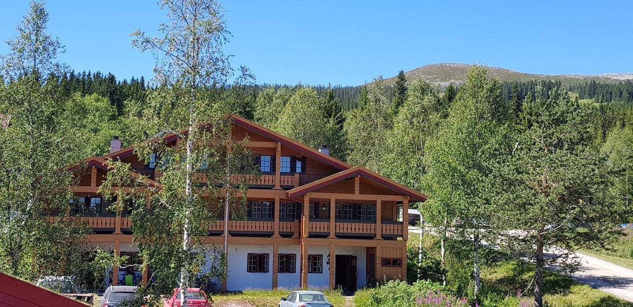 Solbjørnlia Apartments in Innbygda, Trysil