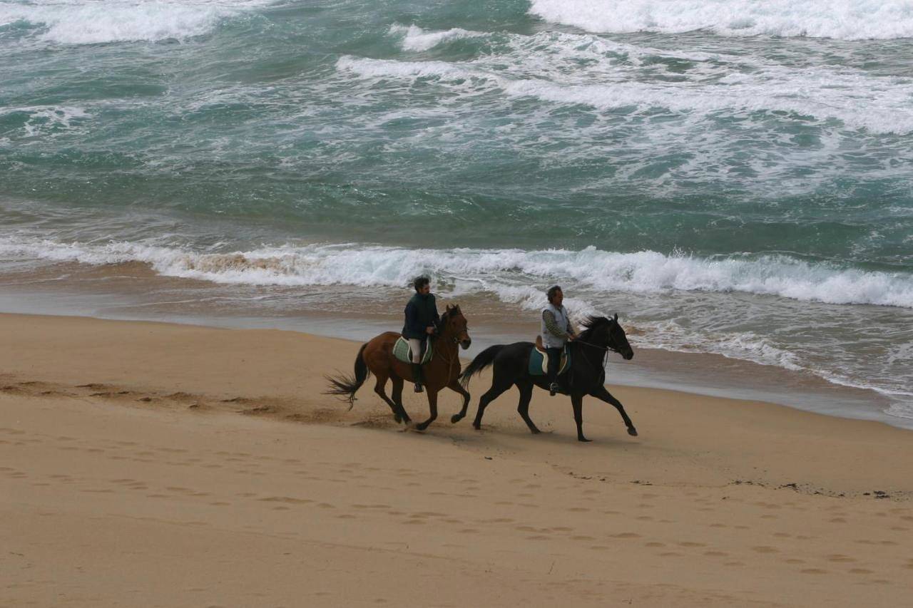 Centro di Turismo Equestre Shangrila' in Fluminimaggiore, Costa Verde (Sardaigne)