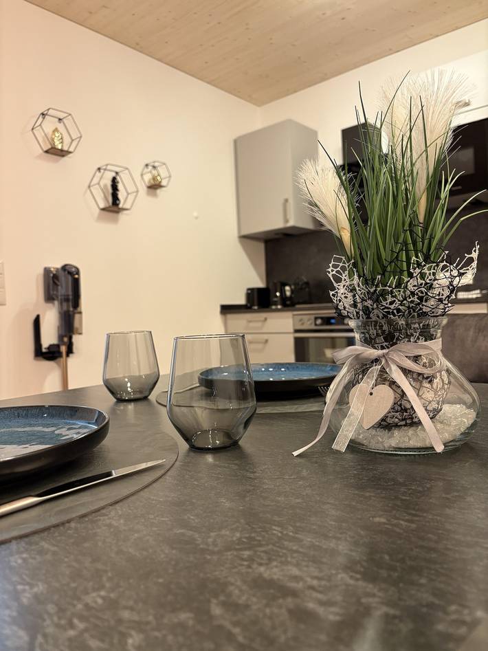 Ferienwohnung für 4 Personen, mit Balkon und Terrasse sowie Garten und Pool in Ennstal