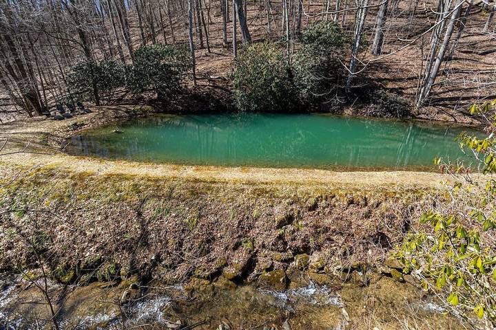 Vacation rental for 14 people, with terrace, with pets in Banner Elk