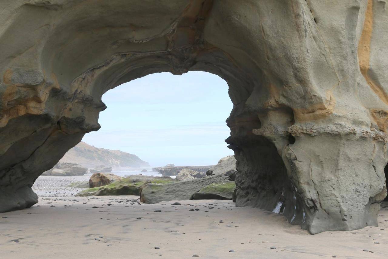 Wetland View Park in Tasman (New Zealand)