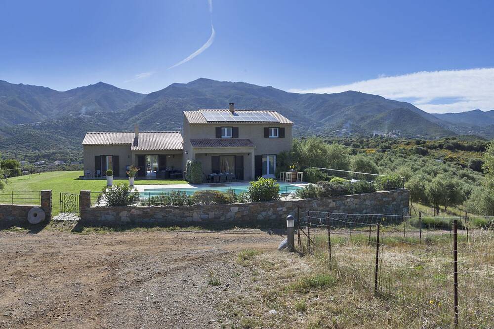 2 ville con piscina in un uliveto in Corsica: relax e serenità ... in Oletta, Calvi e dintorni