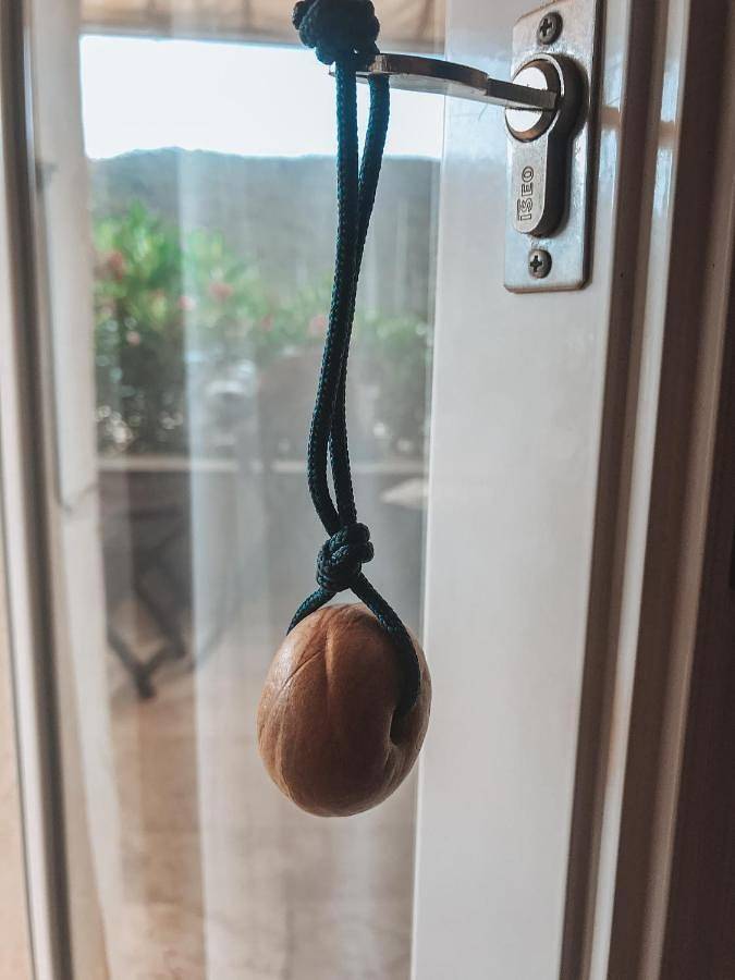 La Maison du Port in Hyeres, Côte méditerranéenne (France)