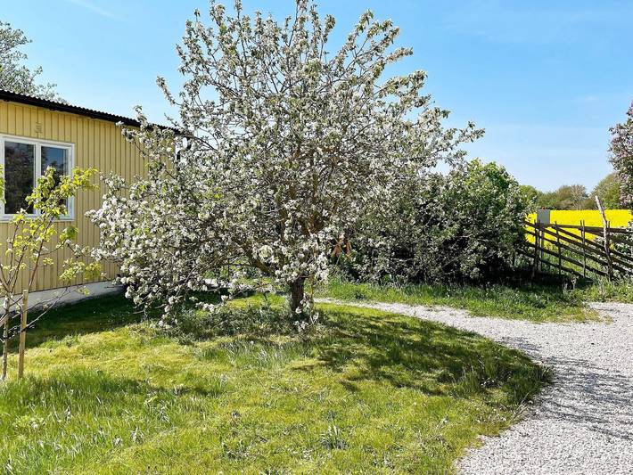 Ferienhaus für 5 Personen, kinderfreundlich in Gotland - 3