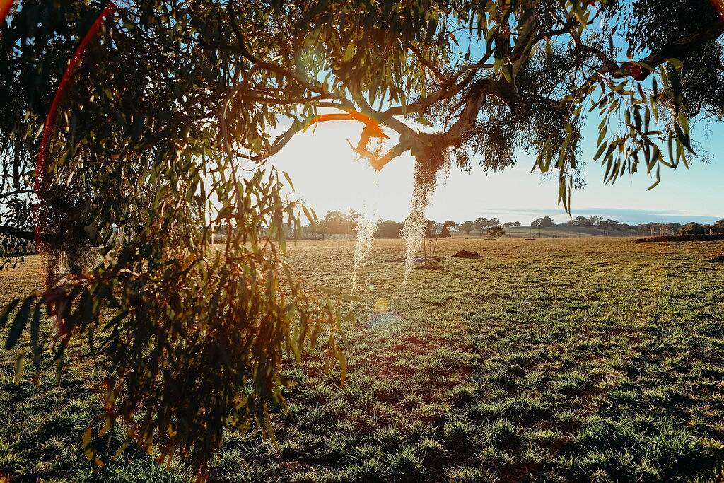 \"Gindanha\" - Landausflug in New South Wales