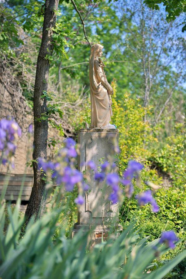 Chambre d’hôte pour 2 personnes, avec jardin et vue à Limoux - 4