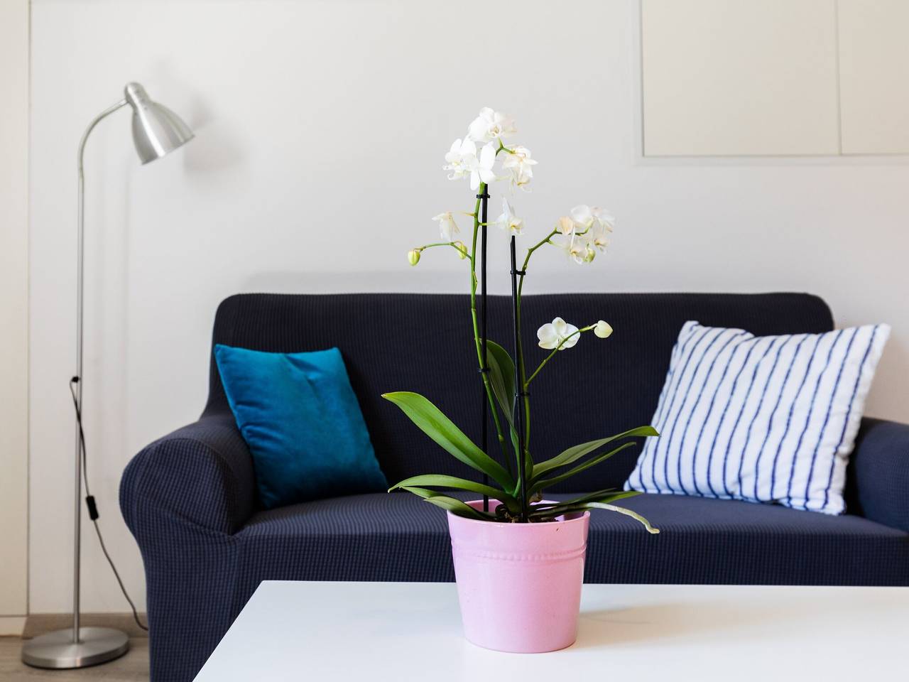 Appartamento intero, Apartments Katarina - Two-Bedroom Apartment (4 Adults) - Između Ribnjaka Street no.1 - #2 in Dubrovnik, Grad Dubrovnik