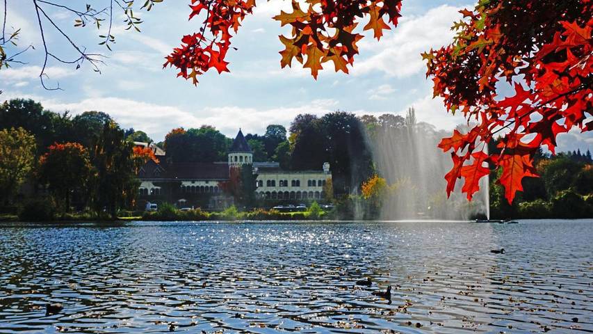 Hôtel pour 2 personnes, avec jardin et piscine ainsi que sauna et jacuzzi dans la Province du Brabant wallon