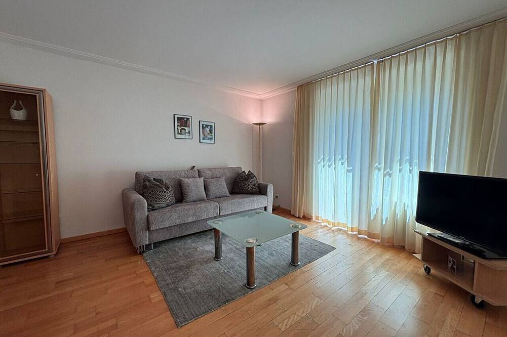 Appartamento intero, 1Bedroom apt near lake (Joy) in Zurigo, Distretto di Zurigo