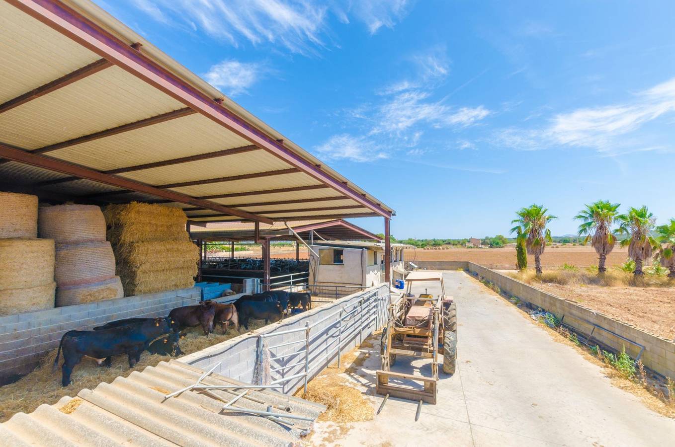 Sa Caseta De Ses Vaques.Son Covas - Casa en agroturismo con piscina compartida y porche privado. Wifi Gratis in Campos, Mallorca Sur