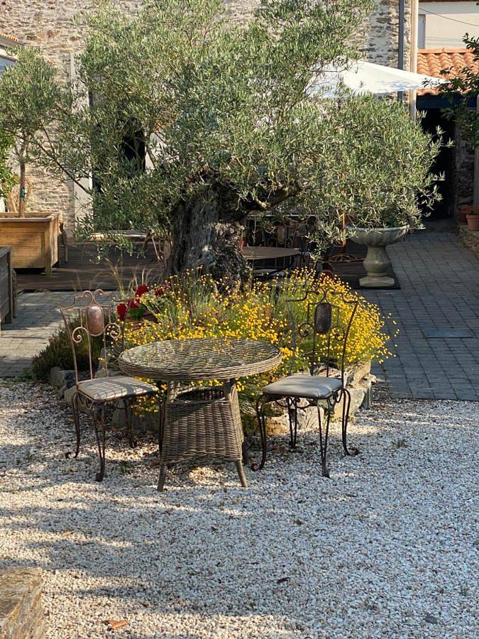 Chambre d’hôte pour 2 personnes, avec jacuzzi ainsi que terrasse et jardin
