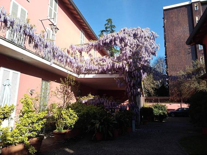 Appartamento vacanze per 4 persone, con panorama e giardino - 1