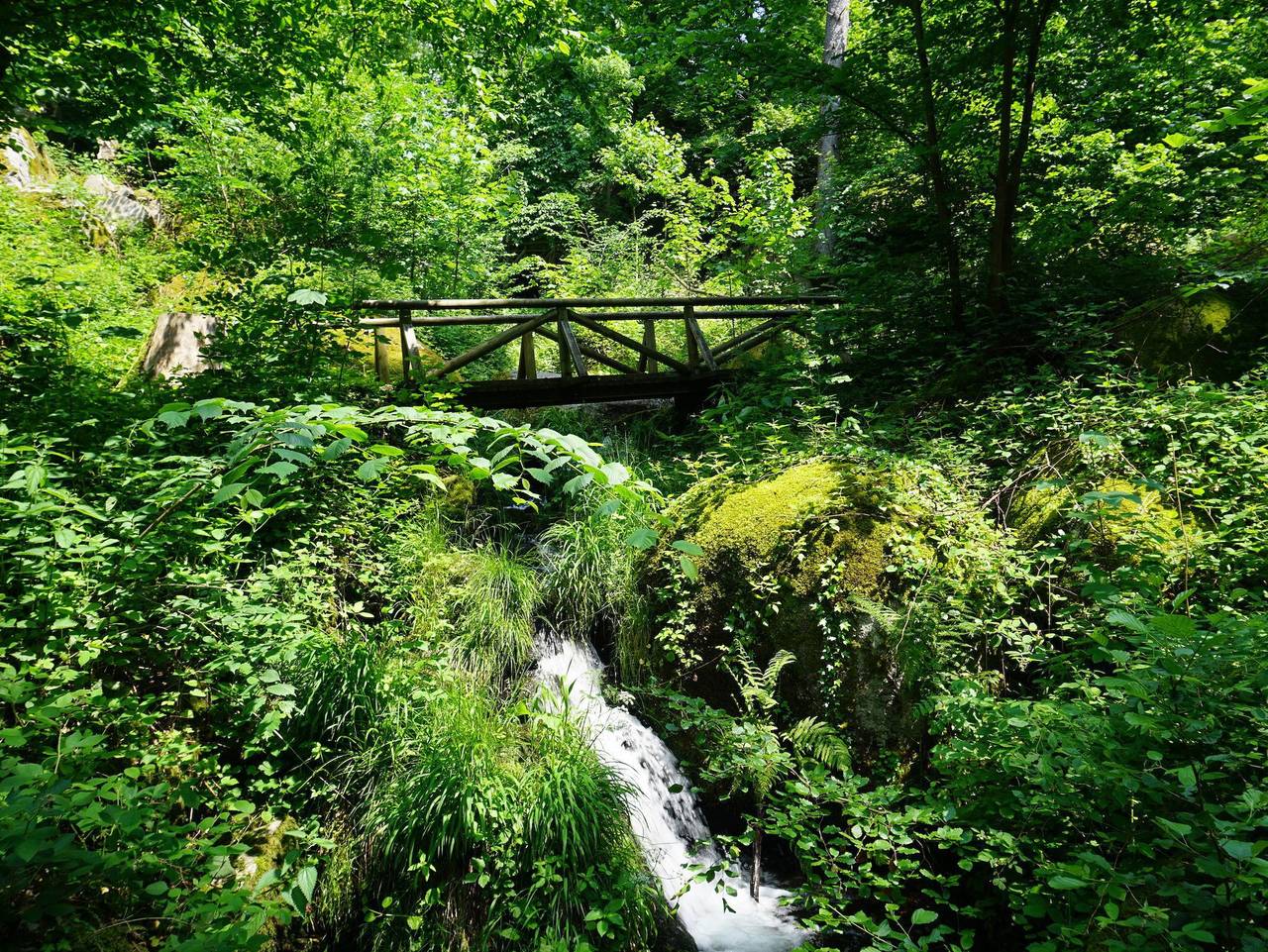 Ganze Ferienwohnung, Ferienhaus am Gunzenbach - Ferienhaus in Baden-Baden, Nordschwarzwald