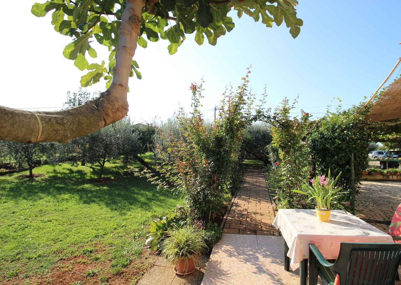 Geheel vakantieappartement, Vakantiewoning op een groene en rustige locatie  in Novigrad, Mareda
