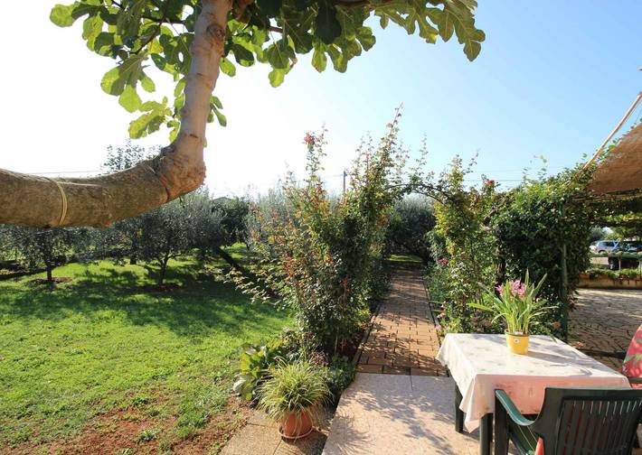 Ferienwohnung für 2 Personen, mit Garten in Novigrad - 3