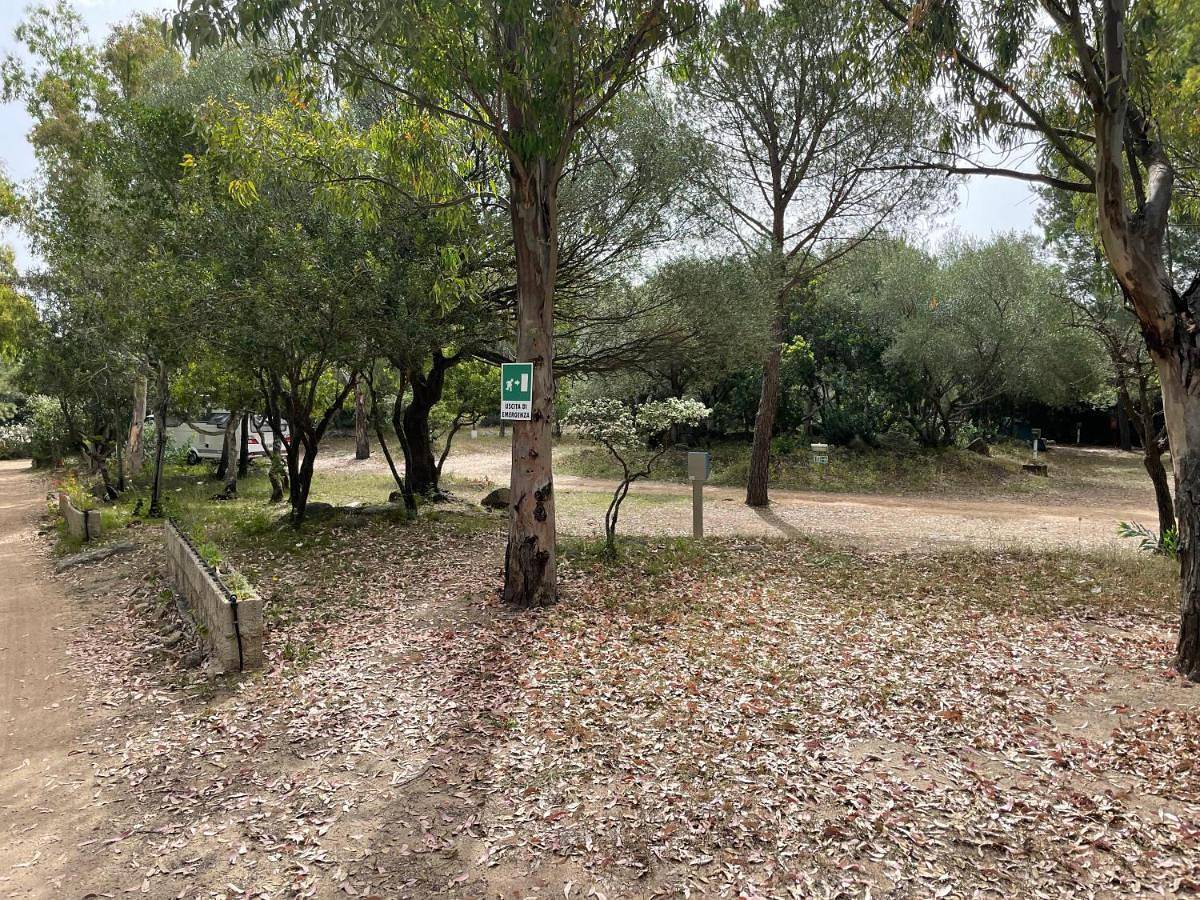 Cugnana Porto Rotondo Bungalows - Camping in Olbia, Costa Smeralda