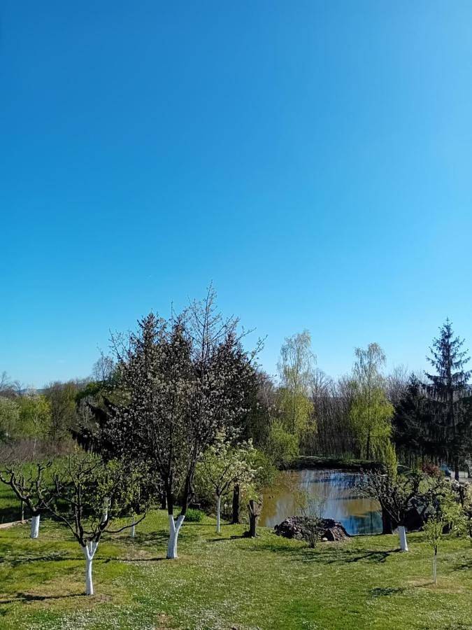 Spa & Pool Holiday House - Šumska vila in Żupania brodzko-posawska