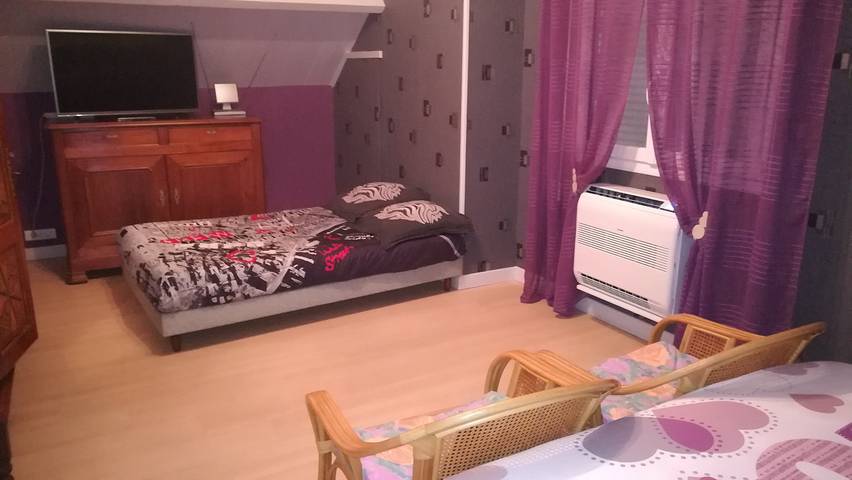 Chambre d’hôte pour 3 personnes, avec piscine et jardin dans Grand Est - 4