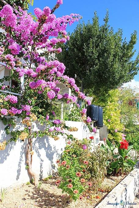 Ganze Wohnung, Ferienwohnung in Pisak mit Meerblick, Terrasse, Klimaanlage, W-Lan (4722-2) in Pisak, Omis-Riviera