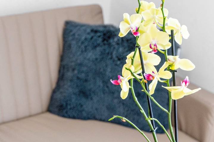 Entire apartment, Apartment "Haus Seeluft – W6" with Wlan in Stollhamm, Butjadingen