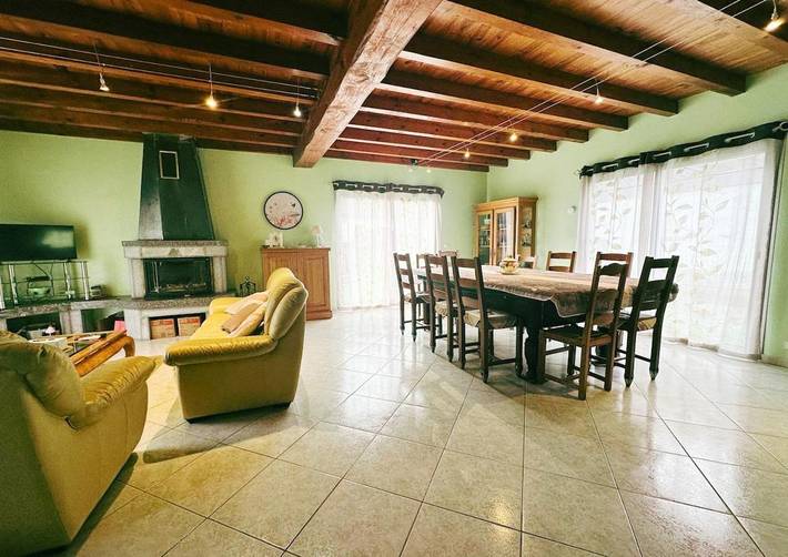 Location de vacances pour 10 personnes, avec terrasse ainsi que vue et jardin, animaux acceptés à Gère-Bélesten