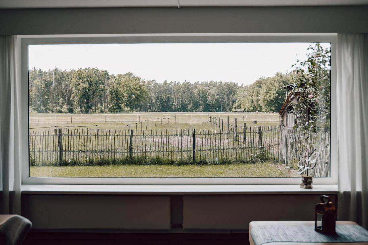 Ganze Wohnung, Luxus-Loft im Naturidyll mit Kamin und Garten in Rodewald, Aller-Leine-Tal