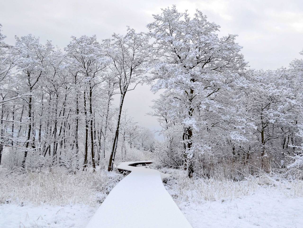 Ganze Ferienwohnung, Ferienwohnungen Villa Am Sonnenstrand - Kat Iii - Wohnung 09 in Bansin, Heringsdorf