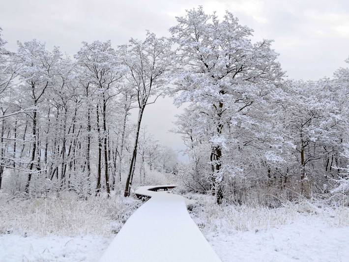 Ferienwohnung für 3 Personen, mit Garten und Terrasse, kinderfreundlich in Bansin - 3